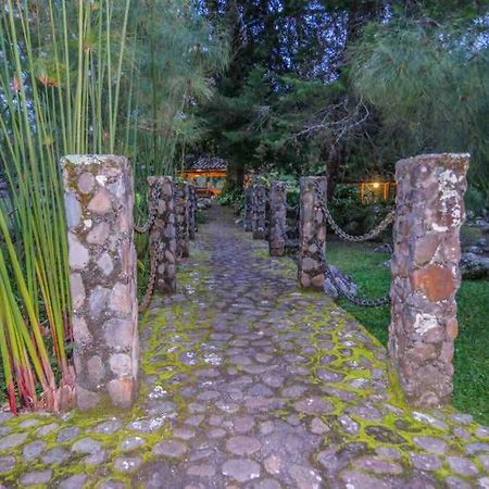 Finca Punta De Piedra Salento, Quindio Villa Eksteriør billede