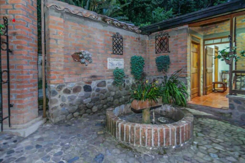 Finca Punta De Piedra Salento, Quindio Villa Eksteriør billede