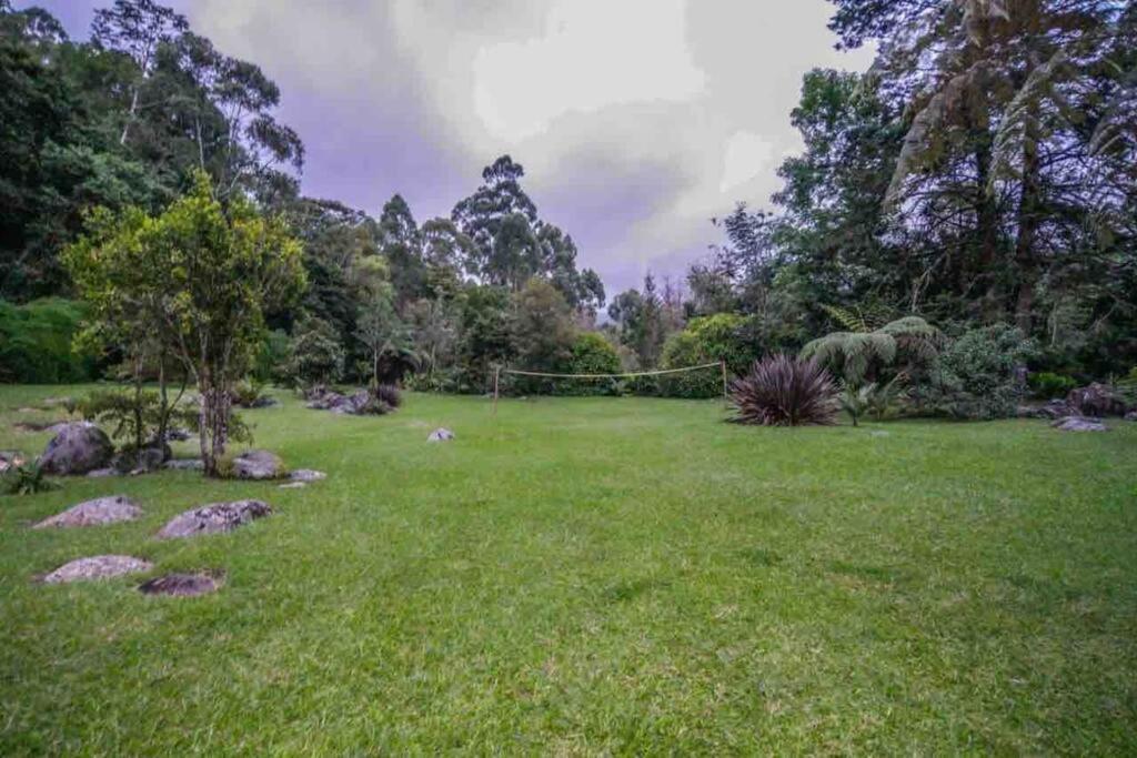 Finca Punta De Piedra Salento, Quindio Villa Eksteriør billede