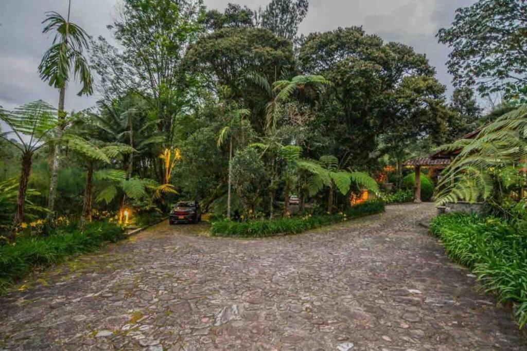 Finca Punta De Piedra Salento, Quindio Villa Eksteriør billede
