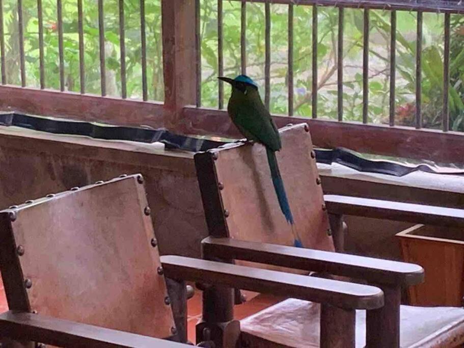 Finca Punta De Piedra Salento, Quindio Villa Eksteriør billede